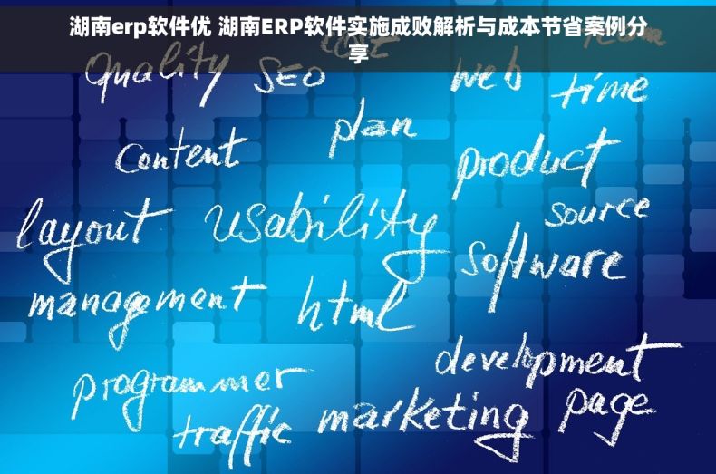 湖南erp软件优 湖南ERP软件实施成败解析与成本节省案例分享