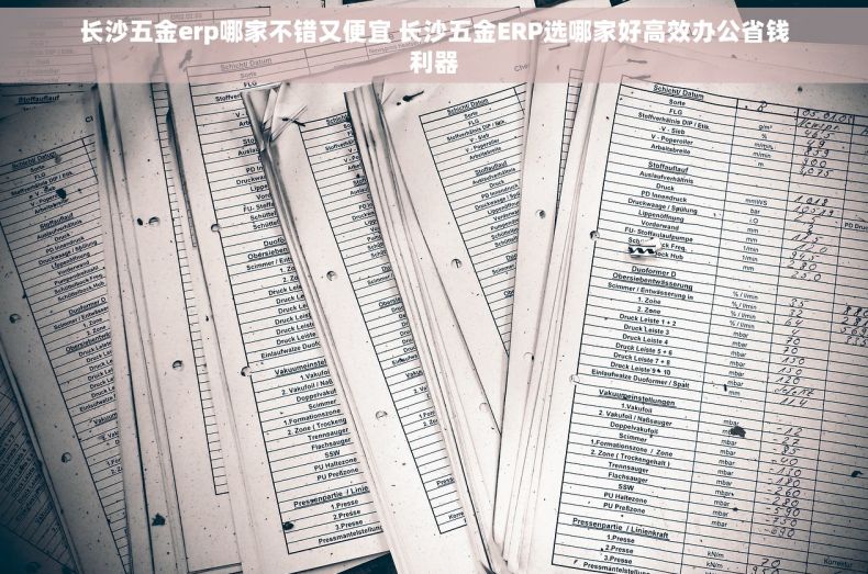 长沙五金erp哪家不错又便宜 长沙五金ERP选哪家好高效办公省钱利器