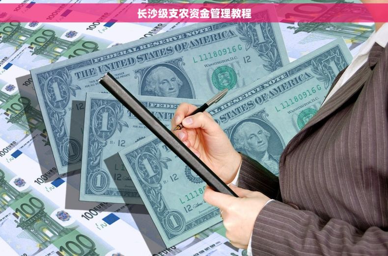 长沙级支农资金管理教程