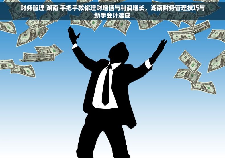 财务管理 湖南 手把手教你理财增值与利润增长，湖南财务管理技巧与新手会计速成