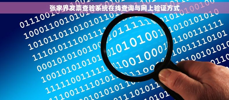 张家界发票查验系统在线查询与网上验证方式