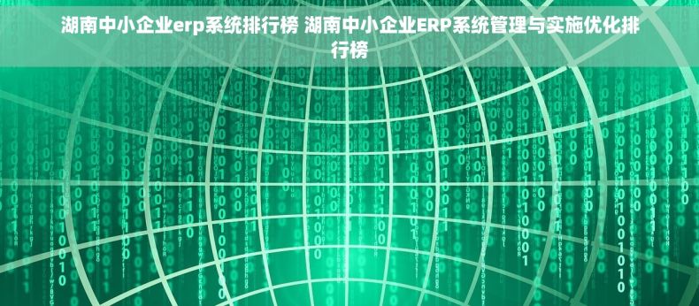 湖南中小企业erp系统排行榜 湖南中小企业ERP系统管理与实施优化排行榜
