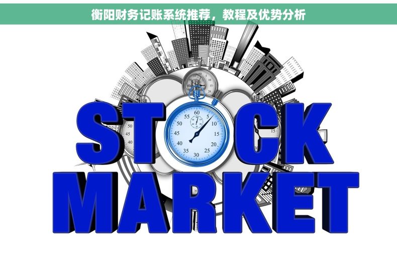 衡阳财务记账系统推荐，教程及优势分析