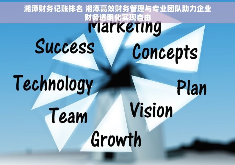 湘潭财务记账排名 湘潭高效财务管理与专业团队助力企业财务透明化实现自由