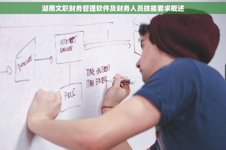 湖南文职财务管理软件及财务人员技能要求概述