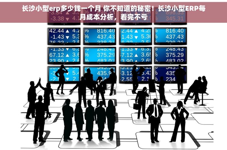 长沙小型erp多少钱一个月 你不知道的秘密！长沙小型ERP每月成本分析，看完不亏