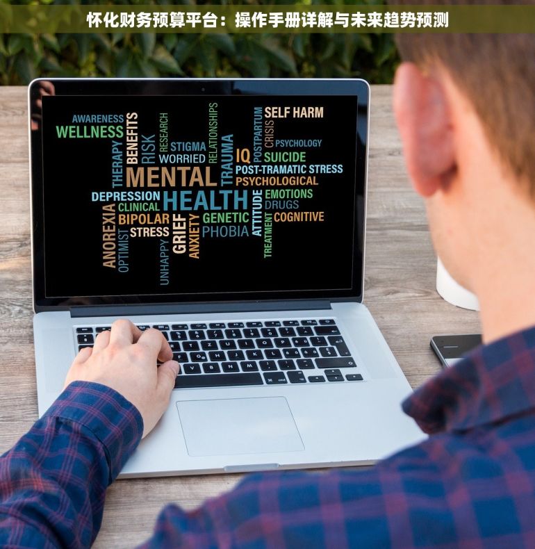 怀化财务预算平台：操作手册详解与未来趋势预测