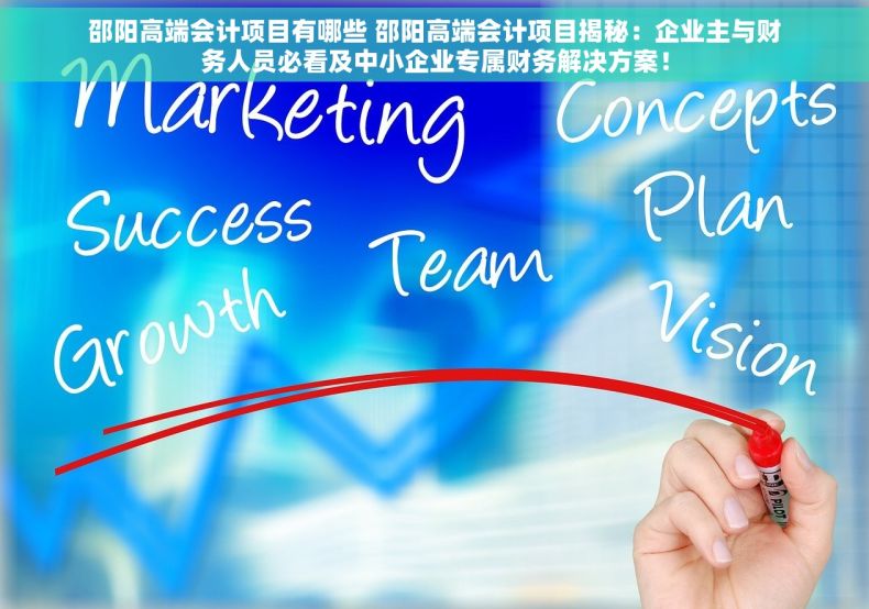 邵阳高端会计项目有哪些 邵阳高端会计项目揭秘：企业主与财务人员必看及中小企业专属财务解决方案！