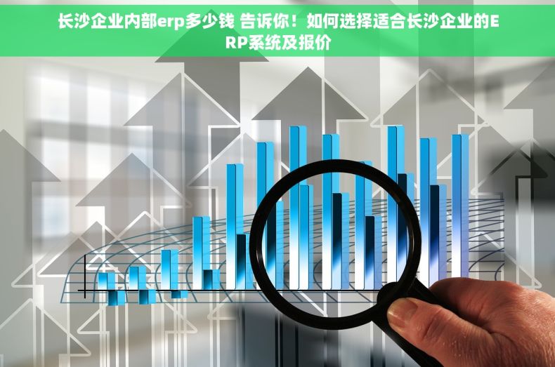 长沙企业内部erp多少钱 告诉你！如何选择适合长沙企业的ERP系统及报价