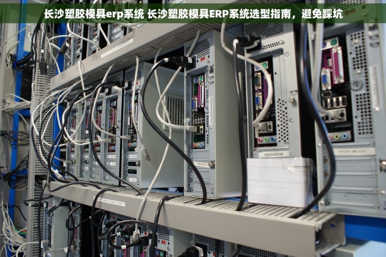 长沙塑胶模具erp系统 长沙塑胶模具ERP系统选型指南，避免踩坑