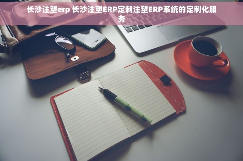 长沙注塑erp 长沙注塑ERP定制注塑ERP系统的定制化服务
