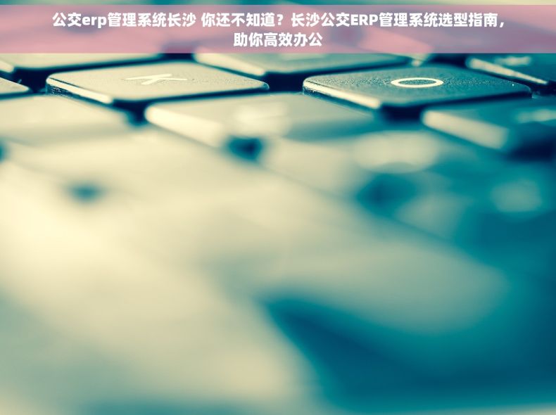 公交erp管理系统长沙 你还不知道？长沙公交ERP管理系统选型指南，助你高效办公