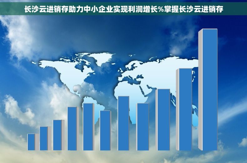 长沙云进销存助力中小企业实现利润增长%掌握长沙云进销存
