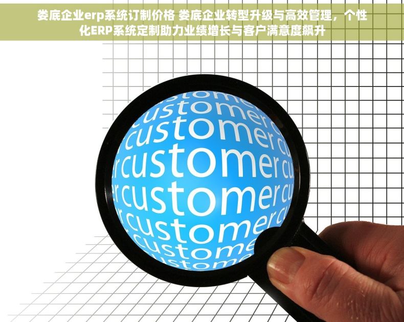 娄底企业erp系统订制价格 娄底企业转型升级与高效管理，个性化ERP系统定制助力业绩增长与客户满意度飙升