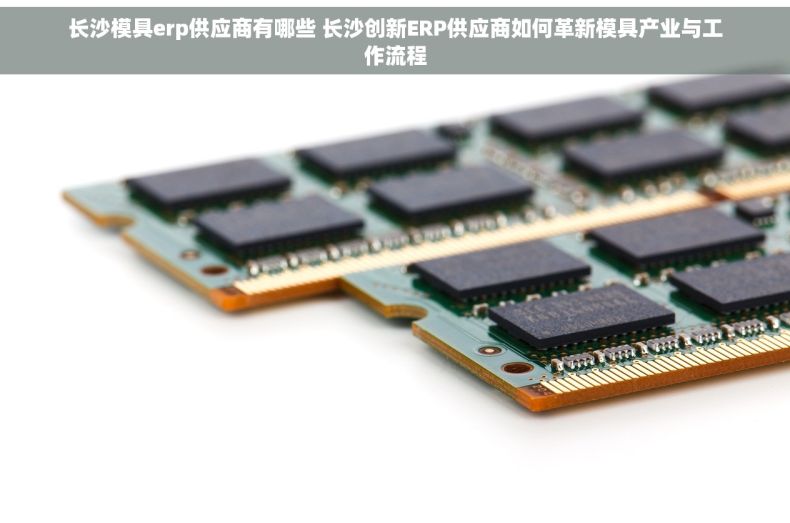 长沙模具erp供应商有哪些 长沙创新ERP供应商如何革新模具产业与工作流程