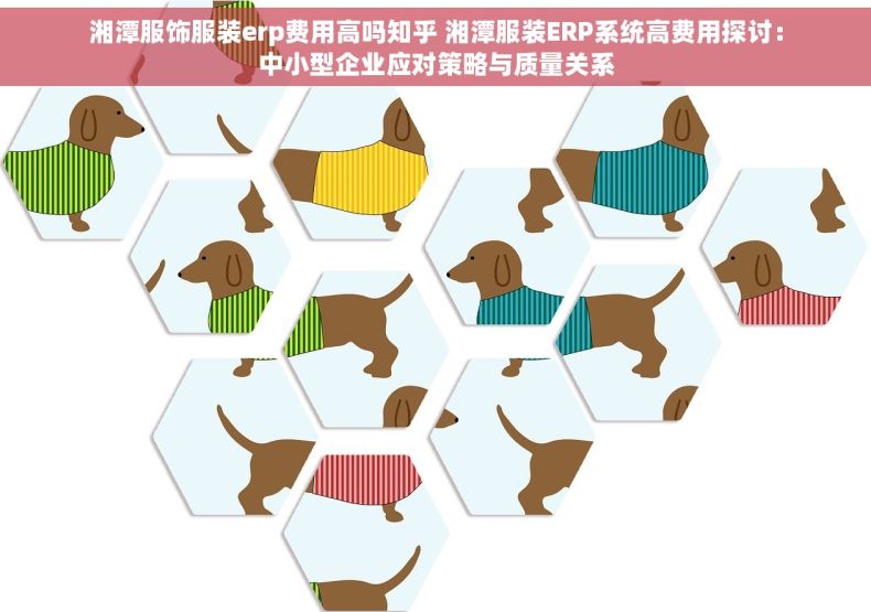 湘潭服饰服装erp费用高吗知乎 湘潭服装ERP系统高费用探讨：中小型企业应对策略与质量关系