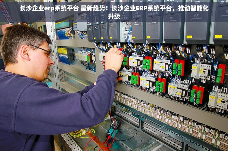 长沙企业erp系统平台 最新趋势！长沙企业ERP系统平台，推动智能化升级