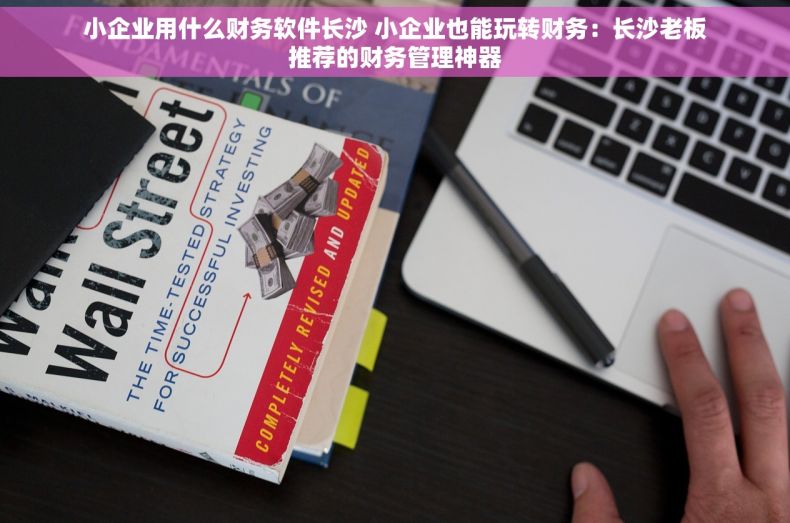 小企业用什么财务软件长沙 小企业也能玩转财务：长沙老板推荐的财务管理神器