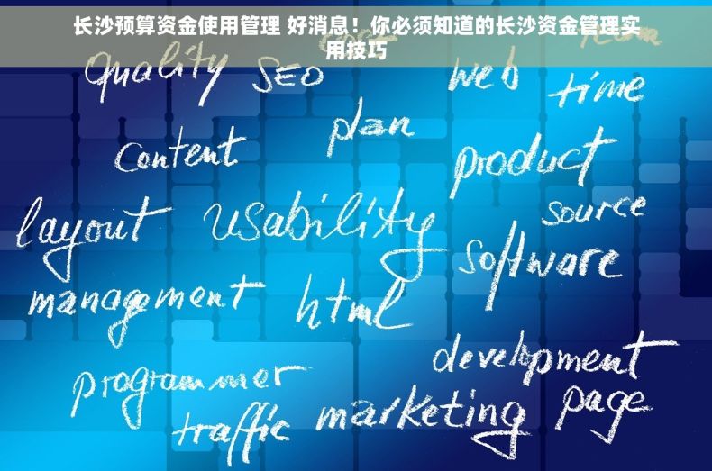 长沙预算资金使用管理 好消息！你必须知道的长沙资金管理实用技巧