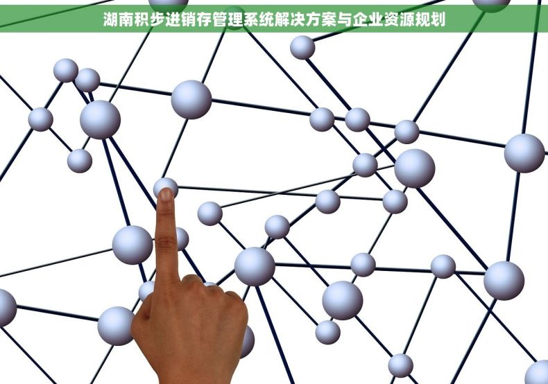 湖南积步进销存管理系统解决方案与企业资源规划