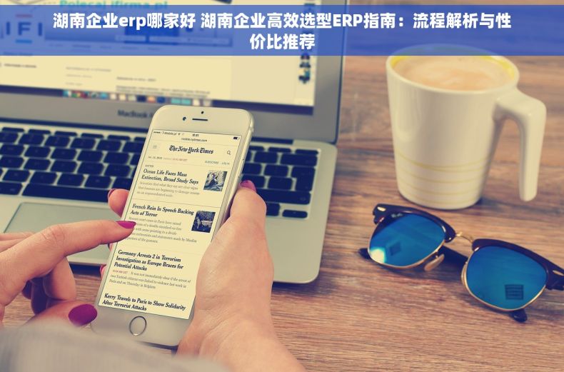 湖南企业erp哪家好 湖南企业高效选型ERP指南：流程解析与性价比推荐