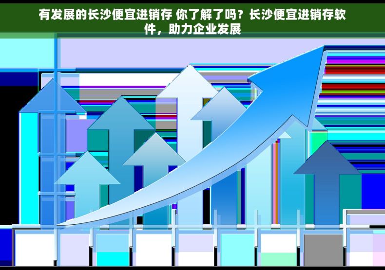 有发展的长沙便宜进销存 你了解了吗？长沙便宜进销存软件，助力企业发展