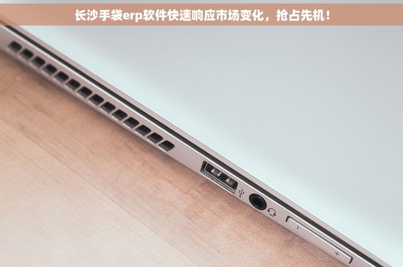 长沙手袋erp软件快速响应市场变化，抢占先机！
