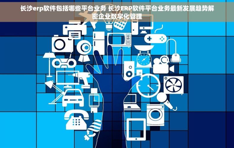 长沙erp软件包括哪些平台业务 长沙ERP软件平台业务最新发展趋势解密企业数字化管理