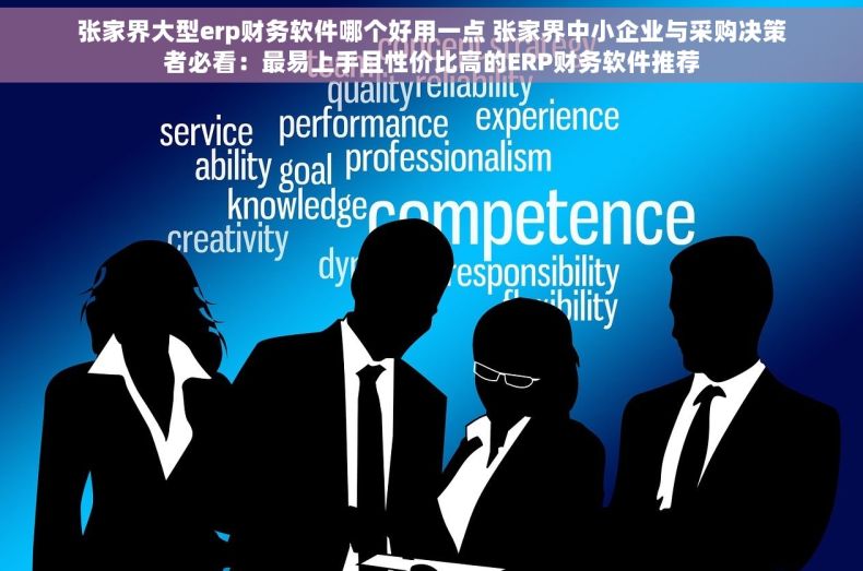 张家界大型erp财务软件哪个好用一点 张家界中小企业与采购决策者必看：最易上手且性价比高的ERP财务软件推荐