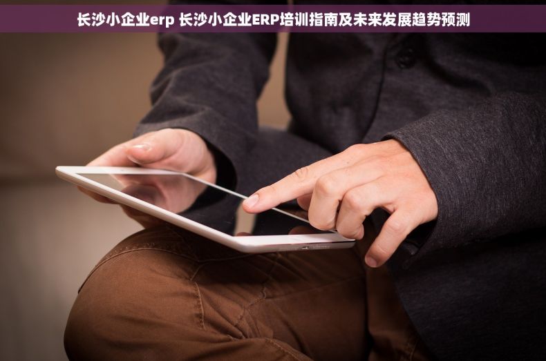 长沙小企业erp 长沙小企业ERP培训指南及未来发展趋势预测