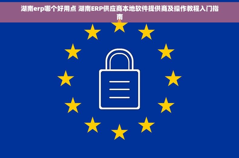 湖南erp哪个好用点 湖南ERP供应商本地软件提供商及操作教程入门指南