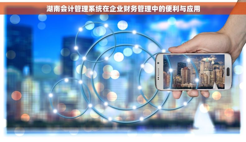 湖南会计管理系统在企业财务管理中的便利与应用