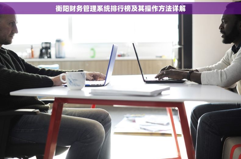 衡阳财务管理系统排行榜及其操作方法详解
