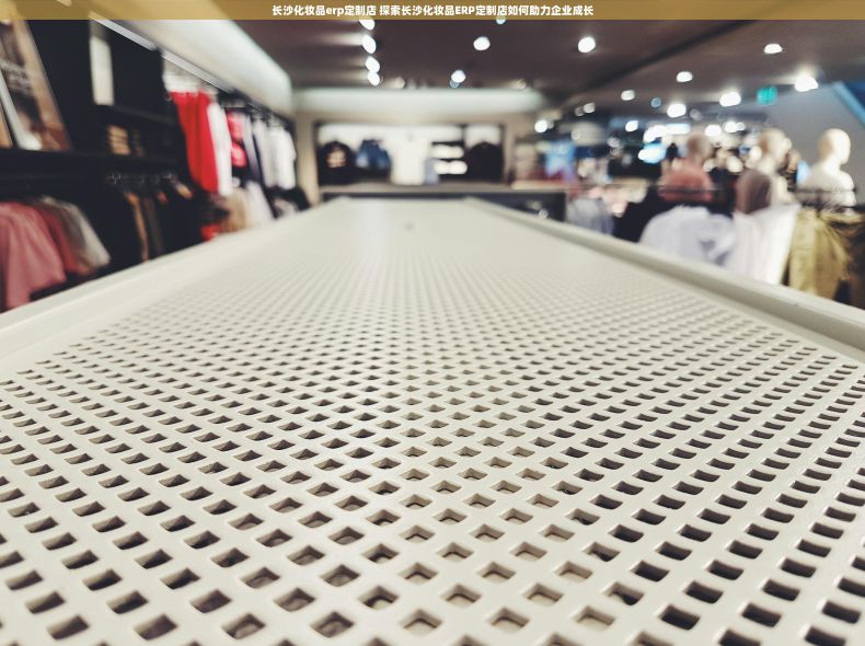 长沙化妆品erp定制店 探索长沙化妆品ERP定制店如何助力企业成长