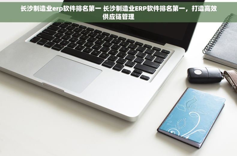 长沙制造业erp软件排名第一 长沙制造业ERP软件排名第一，打造高效供应链管理