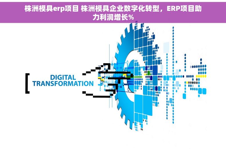 株洲模具erp项目 株洲模具企业数字化转型，ERP项目助力利润增长%