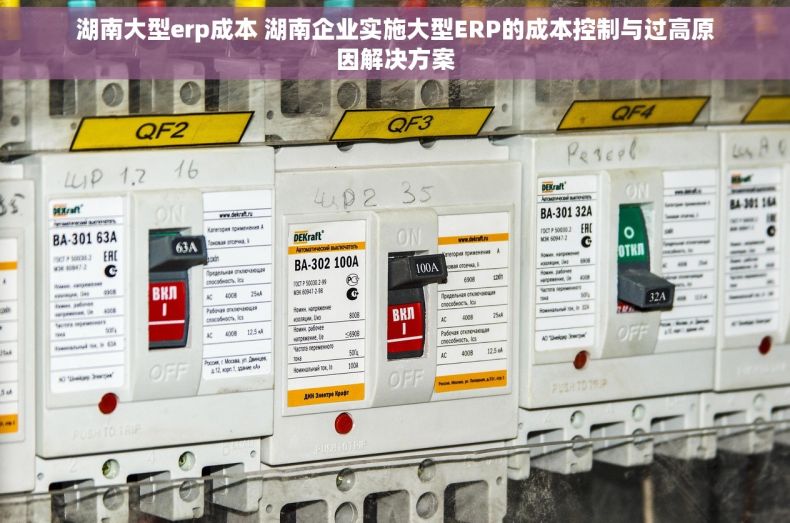 湖南大型erp成本 湖南企业实施大型ERP的成本控制与过高原因解决方案