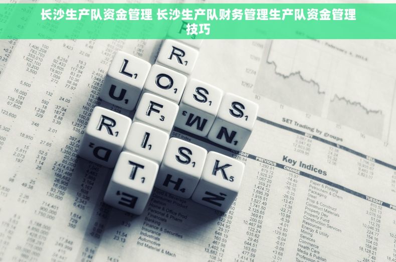 长沙生产队资金管理 长沙生产队财务管理生产队资金管理技巧