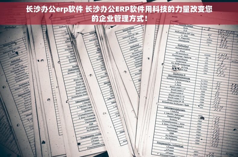 长沙办公erp软件 长沙办公ERP软件用科技的力量改变您的企业管理方式！