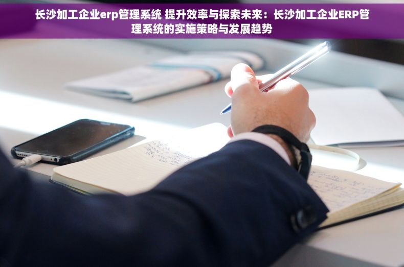 长沙加工企业erp管理系统 提升效率与探索未来：长沙加工企业ERP管理系统的实施策略与发展趋势