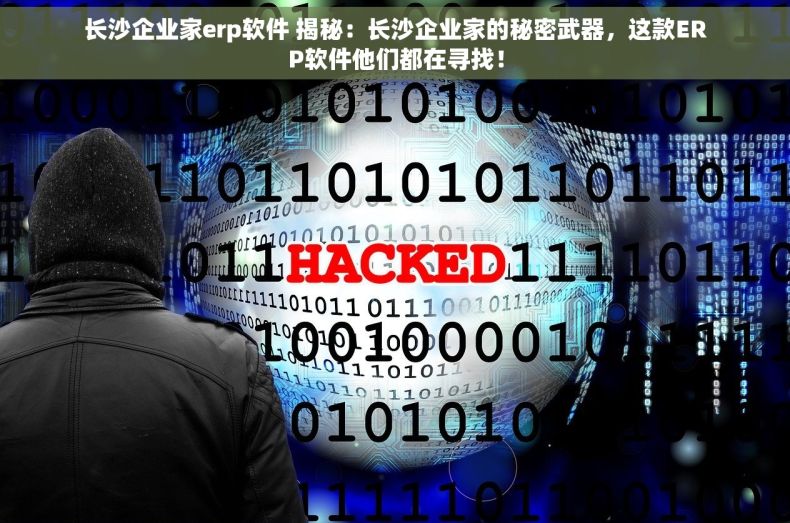长沙企业家erp软件 揭秘：长沙企业家的秘密武器，这款ERP软件他们都在寻找！