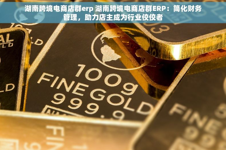 湖南跨境电商店群erp 湖南跨境电商店群ERP：简化财务管理，助力店主成为行业佼佼者
