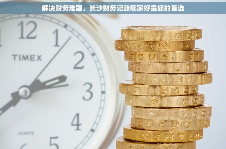 解决财务难题，长沙财务记账哪家好是您的首选