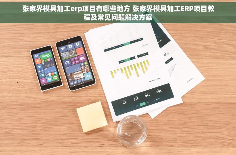 张家界模具加工erp项目有哪些地方 张家界模具加工ERP项目教程及常见问题解决方案