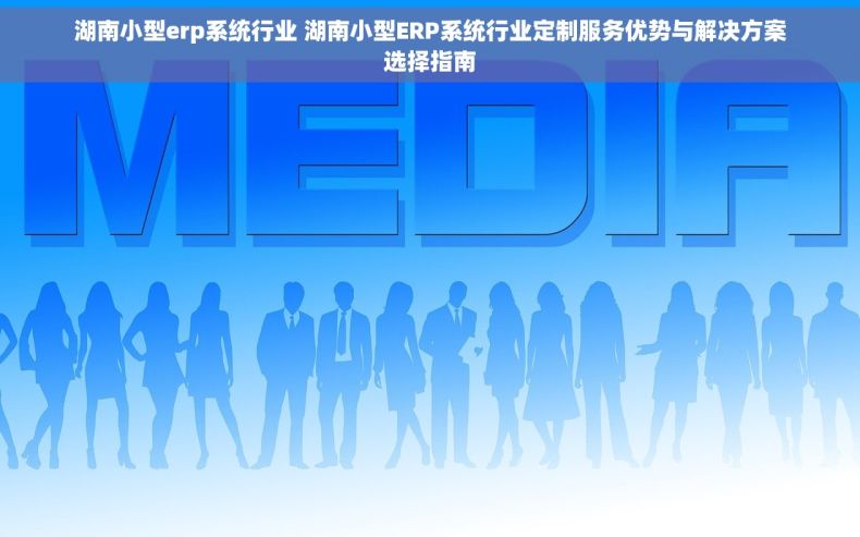 湖南小型erp系统行业 湖南小型ERP系统行业定制服务优势与解决方案选择指南