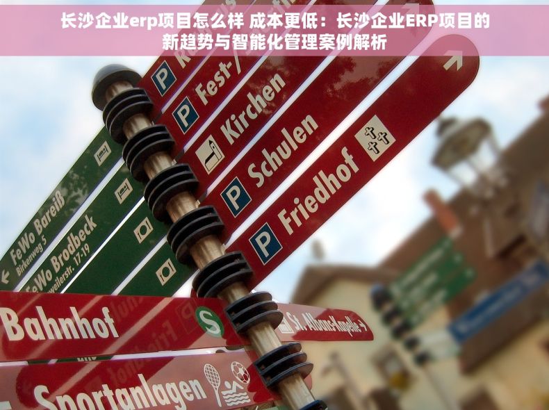 长沙企业erp项目怎么样 成本更低：长沙企业ERP项目的新趋势与智能化管理案例解析