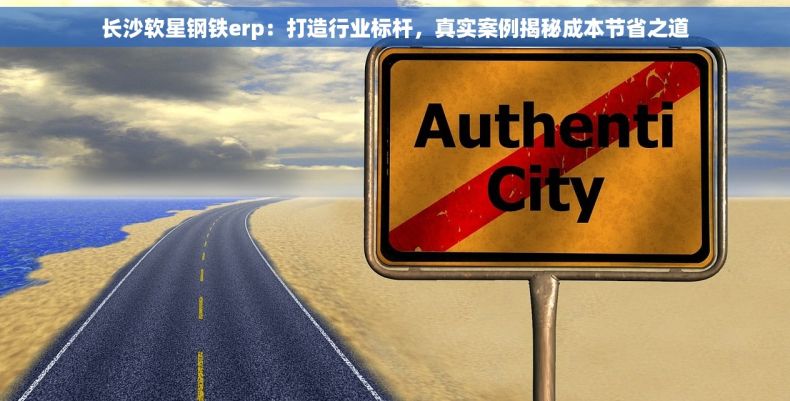 长沙软星钢铁erp：打造行业标杆，真实案例揭秘成本节省之道