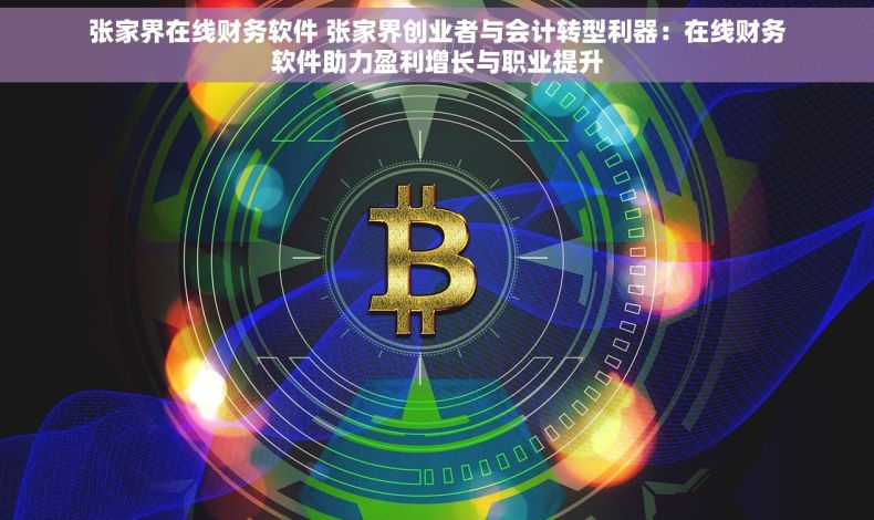 张家界在线财务软件 张家界创业者与会计转型利器：在线财务软件助力盈利增长与职业提升