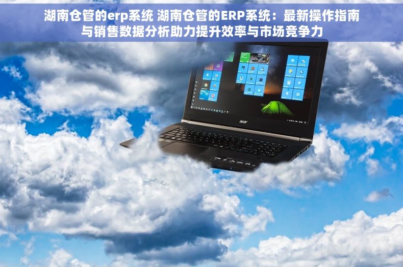 湖南仓管的erp系统 湖南仓管的ERP系统：最新操作指南与销售数据分析助力提升效率与市场竞争力