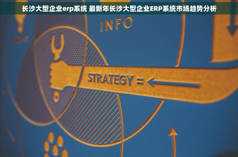 长沙大型企业erp系统 最新年长沙大型企业ERP系统市场趋势分析